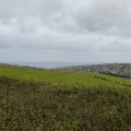 IMG_20240910_073344