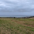 IMG_20240910_075437