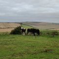IMG_20240910_080024