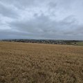 IMG_20240910_080858