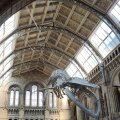 IMG_20240911_121810
