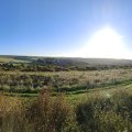 IMG_20240913_075120