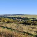 IMG_20240913_075133