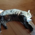 IMG_20240913_091917