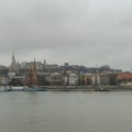 IMG_20241214_132957