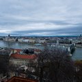 IMG_20241216_104219_DSCF3384
