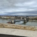 IMG_20241216_104931