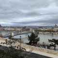 IMG_20241216_105210
