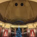 IMG_20241216_161557