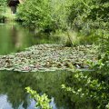 IMG_20240602_111207_DSCF2905