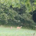 IMG_20240915_074429