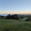 IMG_20240915_074602