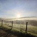 IMG_20240915_082443
