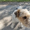 IMG_20240917_105337
