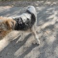 IMG_20240917_105340