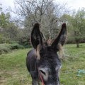 IMG_20240930_082116