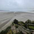 IMG_20241109_105245