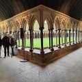 IMG_20241109_111048