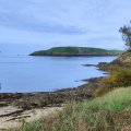 IMG_20241110_112241