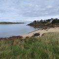 IMG_20241110_112817