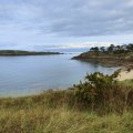 IMG_20241110_113035