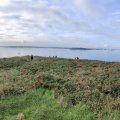 IMG_20241110_114125