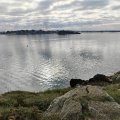 IMG_20241110_114518