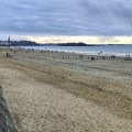 IMG_20241110_162231