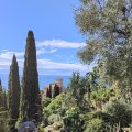 IMG_20241004_111504
