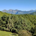 IMG_20241005_094352