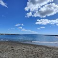 IMG_20241005_135049