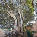 IMG_20241005_170649