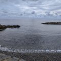 IMG_20241006_134435