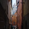 IMG_20241006_141714_DSCF3210