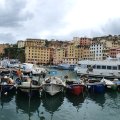 IMG_20241008_134318