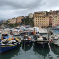 IMG_20241008_134357