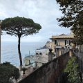 IMG_20241008_175723