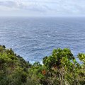 IMG_20241009_105335