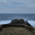 IMG_20241009_111416