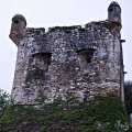 IMG_20241009_162424_DSCF3257