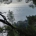 IMG_20241011_093728_DSCF3265