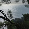 IMG_20241011_093746_DSCF3266