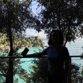 IMG_20241011_111953