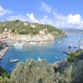 IMG_20241011_131019