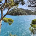 IMG_20241011_144825