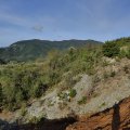 IMG_20241012_102101