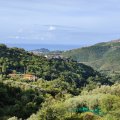 IMG_20241012_102120