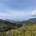 IMG_20241012_105144