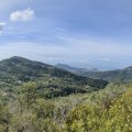 IMG_20241012_105204