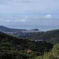 IMG_20241012_105303